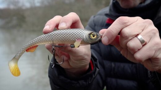 Необходимый набор для ухода за щукой