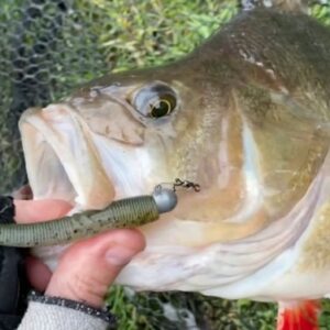 Рыбалка на крупного окуня в озере